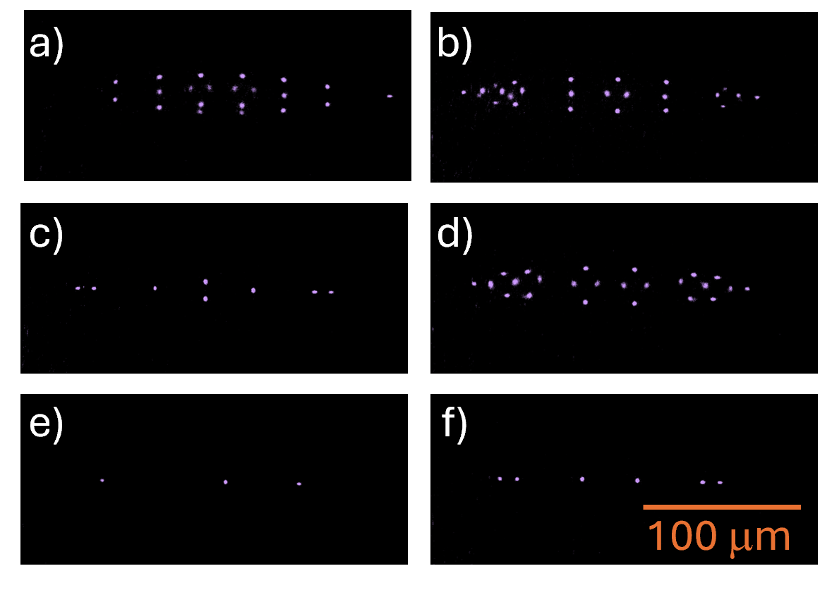 Coulomb Crystal