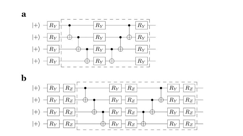 Symmetry enhanced variational quantum imaginary time evolution